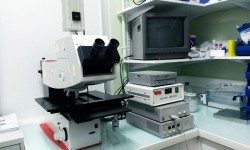 vidéomicroscope