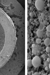 Visualisation 3D de gélosomes dans un hydrogel par cryo fixation haute pression