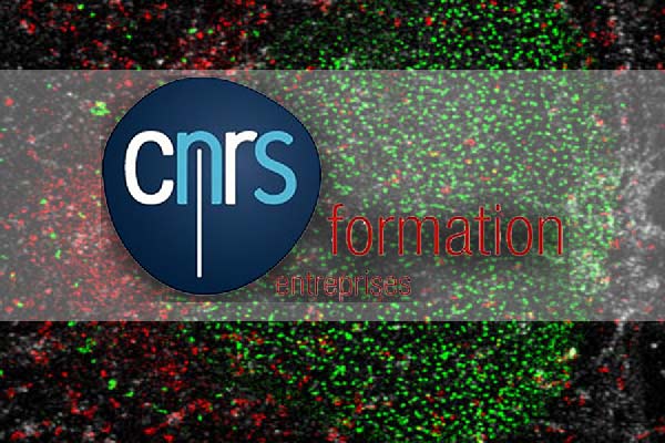 CNRS Formation