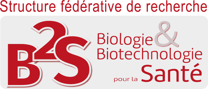 SFR_B2S logo